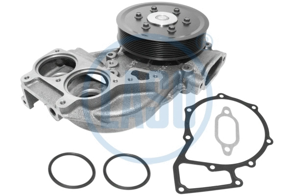 Water Pump, engine cooling (WG1709697)