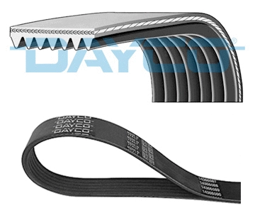 V-Ribbed Belt (WG2112996)