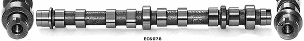 Camshaft (WG1051563)