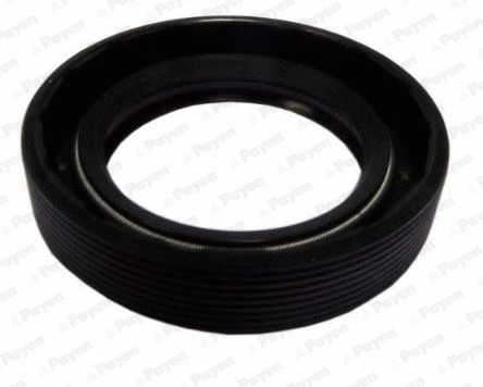 Shaft Seal, differential