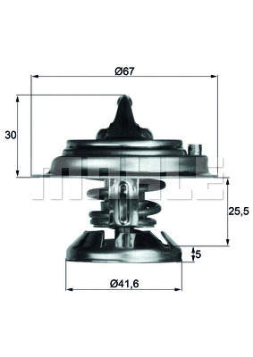 Thermostat, coolant (WG1262732)