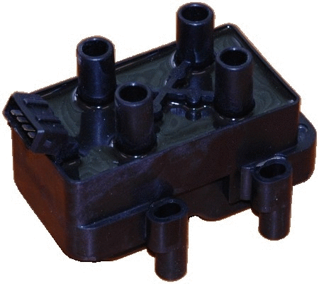 Ignition Coil (WG1012217)