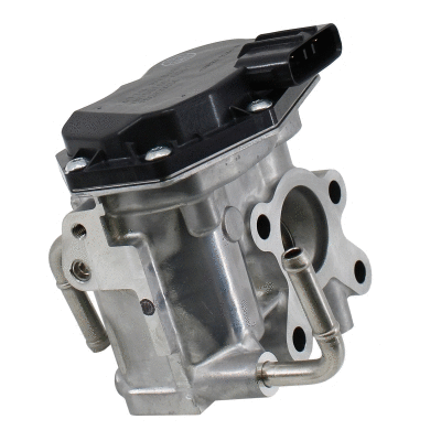 EGR Valve (WG2172968)
