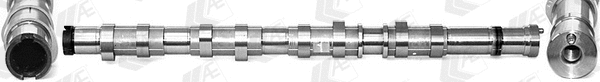 Camshaft (WG1939152)