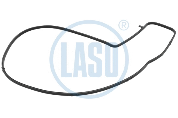 Gasket, water pump (WG1990498)