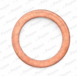 Seal Ring, oil drain plug (WG2046652)