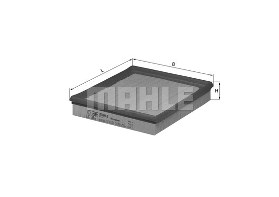 Air Filter (WG1216415)