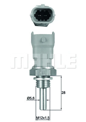 Sensor, coolant temperature (WG1789653)