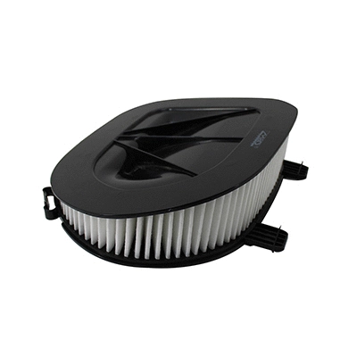 Air Filter (WG2152096)