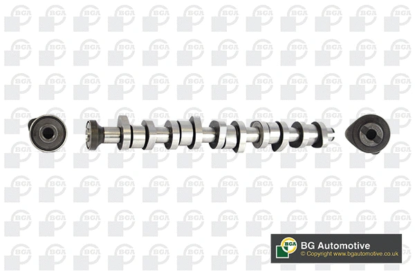 Camshaft (WG1490637)