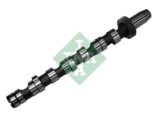 Camshaft (WG1780332)