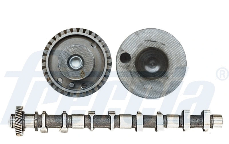 Camshaft (WG1779093)