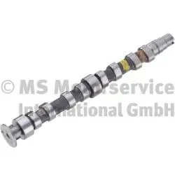 Camshaft (WG1924820)