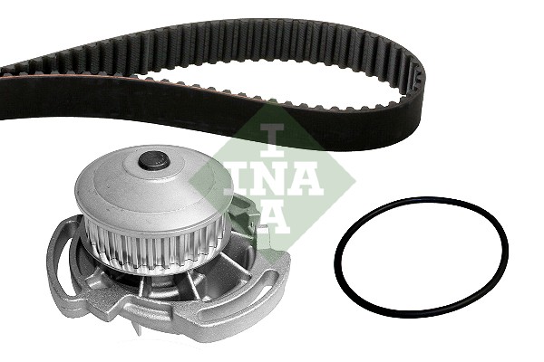 Water Pump & Timing Belt Kit (WG1252015)