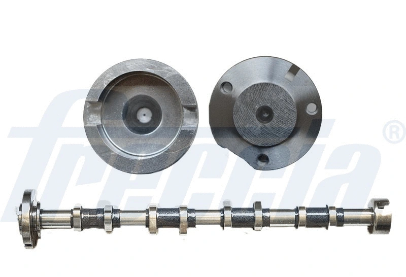 Camshaft (WG1779091)