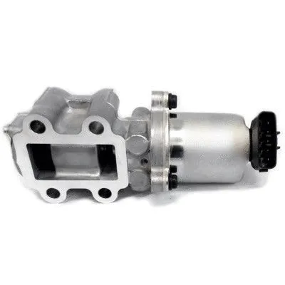 EGR Valve (WG1408755)