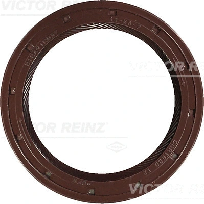 Shaft Seal, automatic transmission (WG1250131)