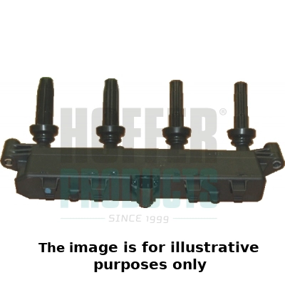 Ignition Coil (WG1902069)