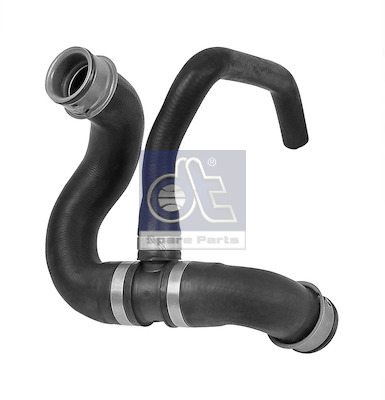 Radiator Hose (WG2316444)