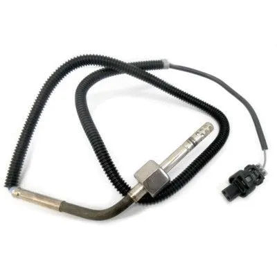 Sensor, exhaust gas temperature (WG1748723)