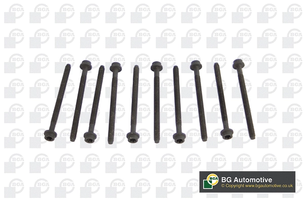 Cylinder Head Bolt Set (WG1489968)