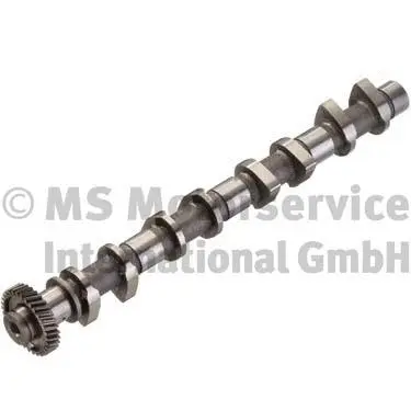 Camshaft (WG1380624)