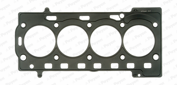 Gasket, cylinder head (WG1090911)