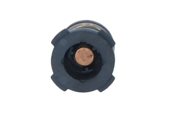 Thermostat, coolant (WG2184820)