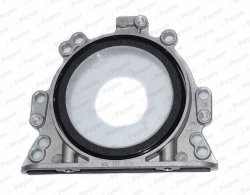 Shaft Seal, crankshaft (WG1177337)