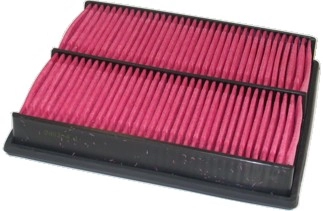 Air Filter (WG1746773)