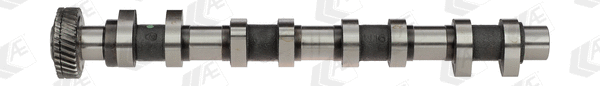 Camshaft (WG1171938)