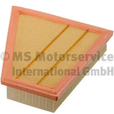 Air Filter (WG1787499)