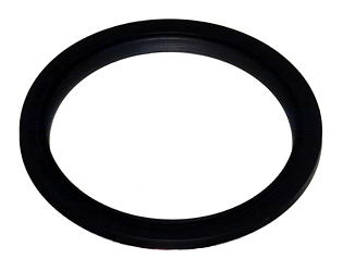 Shaft Seal, crankshaft (WG1766572)