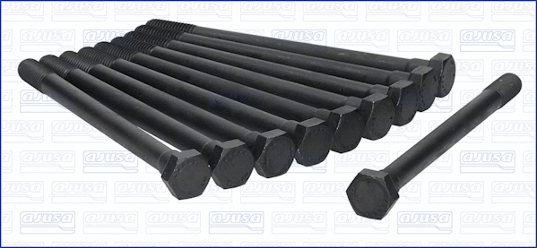 Cylinder Head Bolt Set (WG1009575)