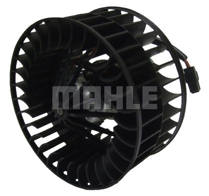 Interior Blower