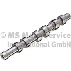 Camshaft (WG1888781)