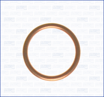 Seal Ring, oil drain plug (WG1163674)