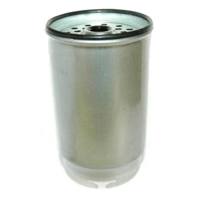 Fuel Filter (WG1747701)