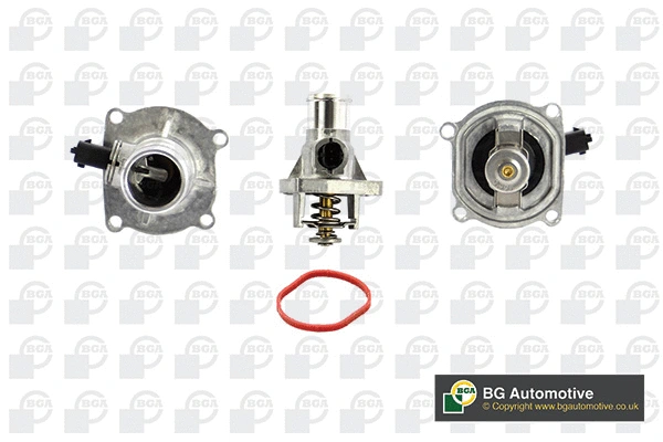 Thermostat, coolant (WG1814380)