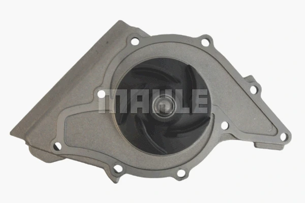 Water Pump, engine cooling (WG2182087)