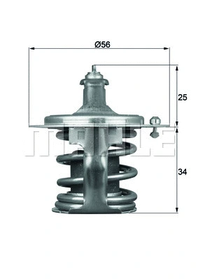 Thermostat, coolant (WG1264935)