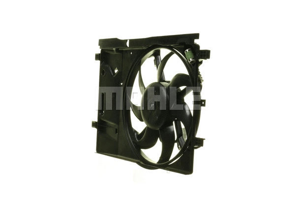 Fan, engine cooling (WG2180567)