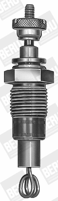 Glow Plug (WG1485962)