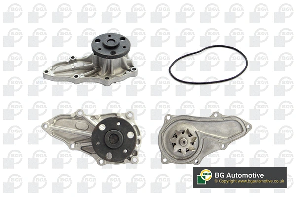 Water Pump, engine cooling (WG1941028)