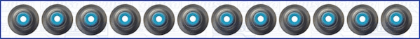Seal Set, valve stem (WG1170062)