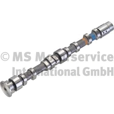 Camshaft (WG1281947)