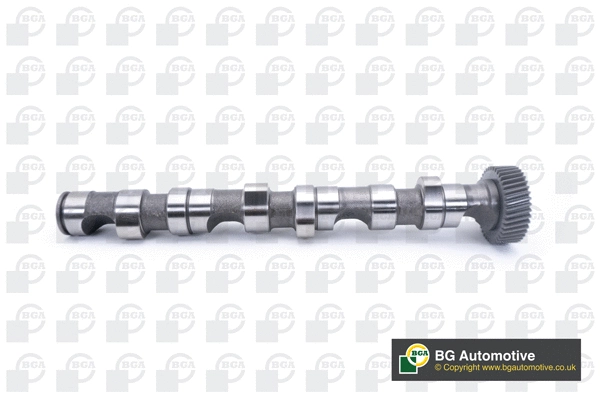 Camshaft (WG1490418)