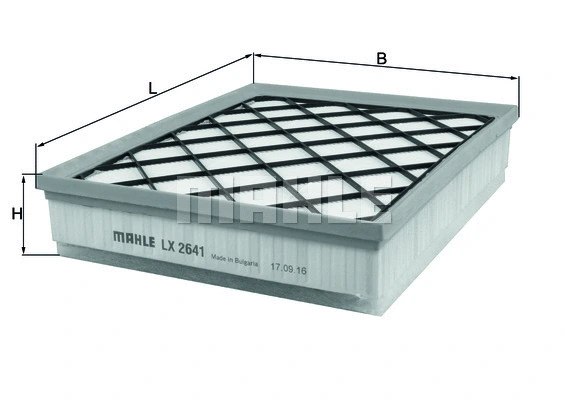 Air Filter (WG1216266)