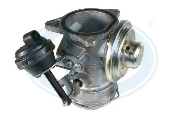 EGR Valve (WG1494528)