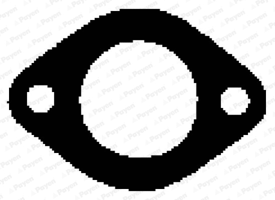 Gasket, exhaust manifold (WG1090656)